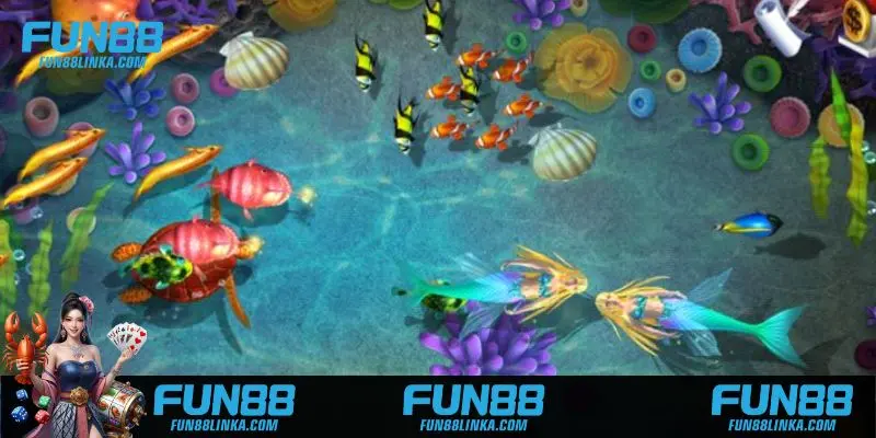 Lý do Lucky Fishing thu hút hàng triệu game thủ